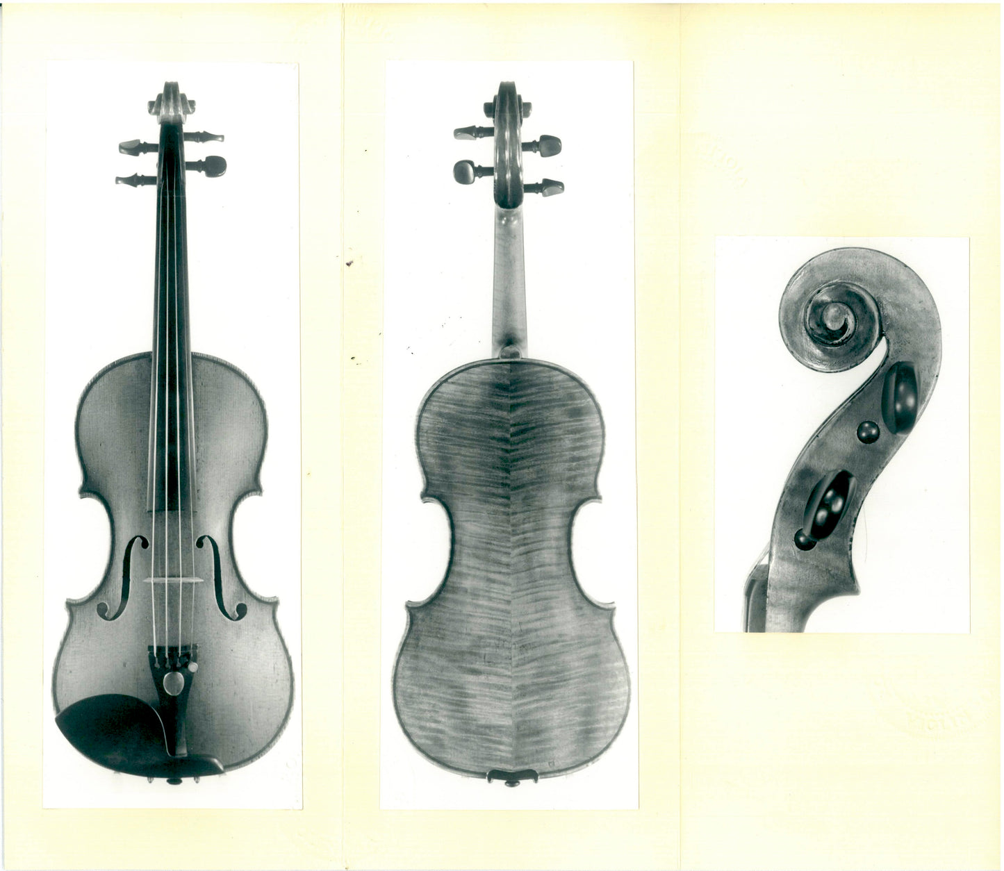 Celeste Farotti violin, Milan, 1920, with Wurlitzer and Moennig certificates | Metzler Violins