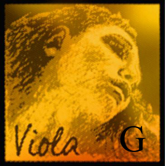 EVAH PIRAZZI GOLD viola string,