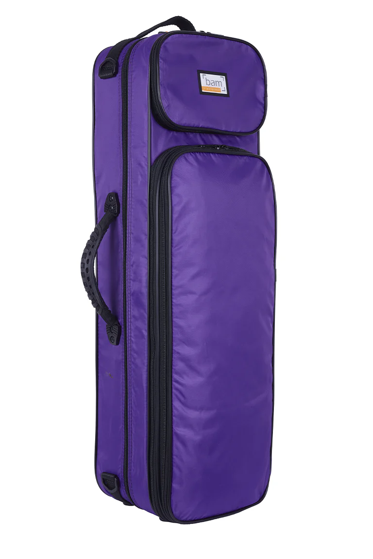 BAM Youngster violin case,