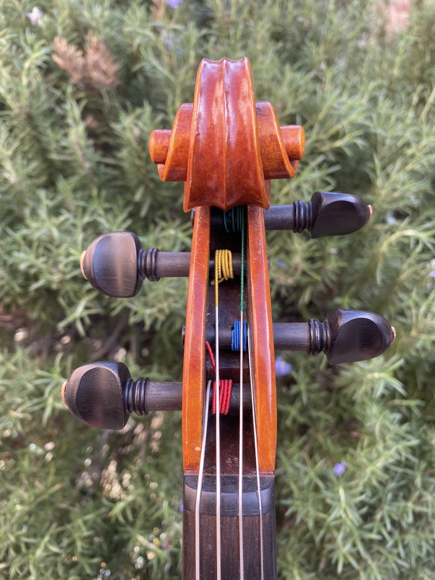 Raymond Schryer 16 5/16" viola 1995 Hilton Beach, Canada