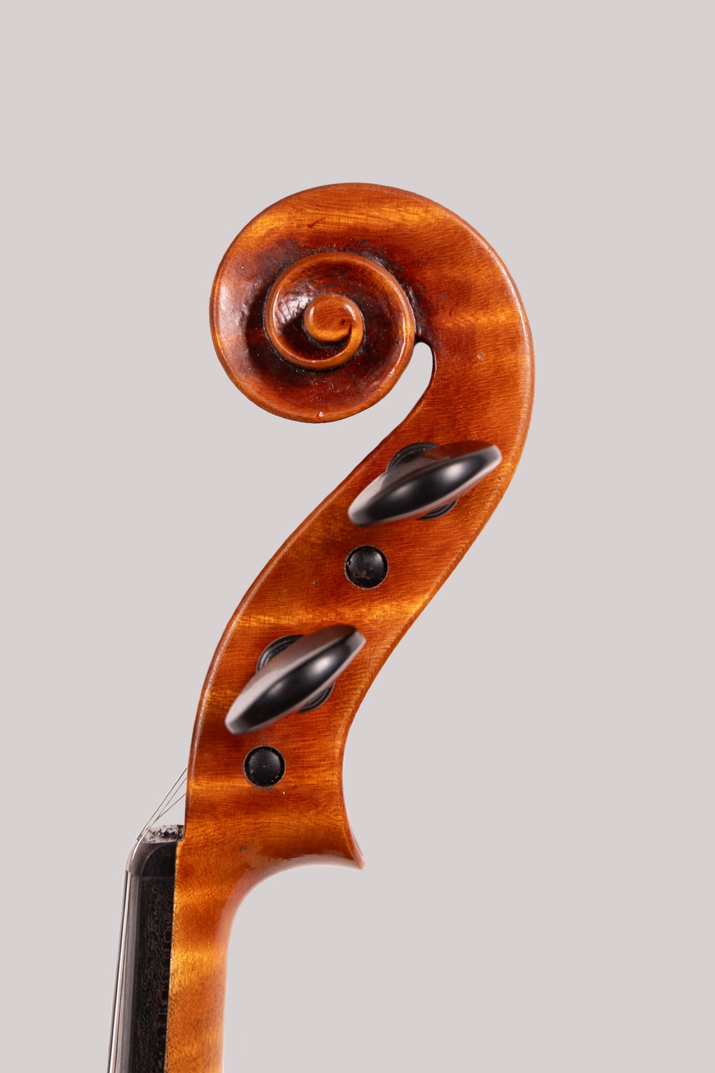 Benedicte Friedmann violin "Ardor", Guadagnini model, Cremona, 2026 | Metzler Violins