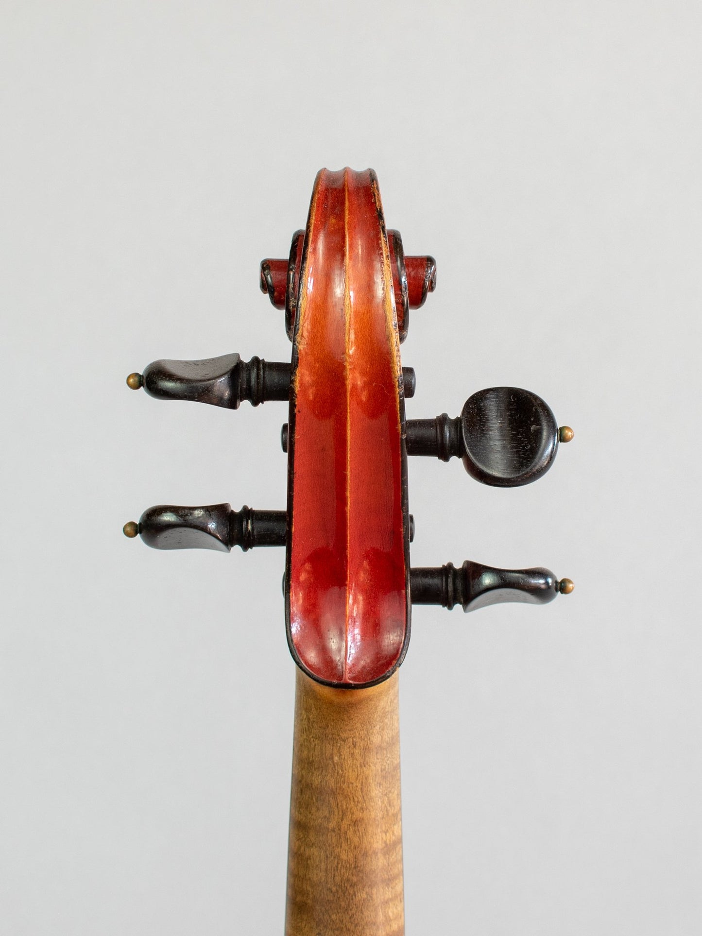 August Liebich Amati model violin ca. 1900, Roth & Lederer