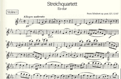 Schubert, F.: String Quartet Der Tod und das Madchen Death and the Maiden D810