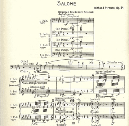 Strauss, R: Orch.StageWorksCL, V.2 Salome