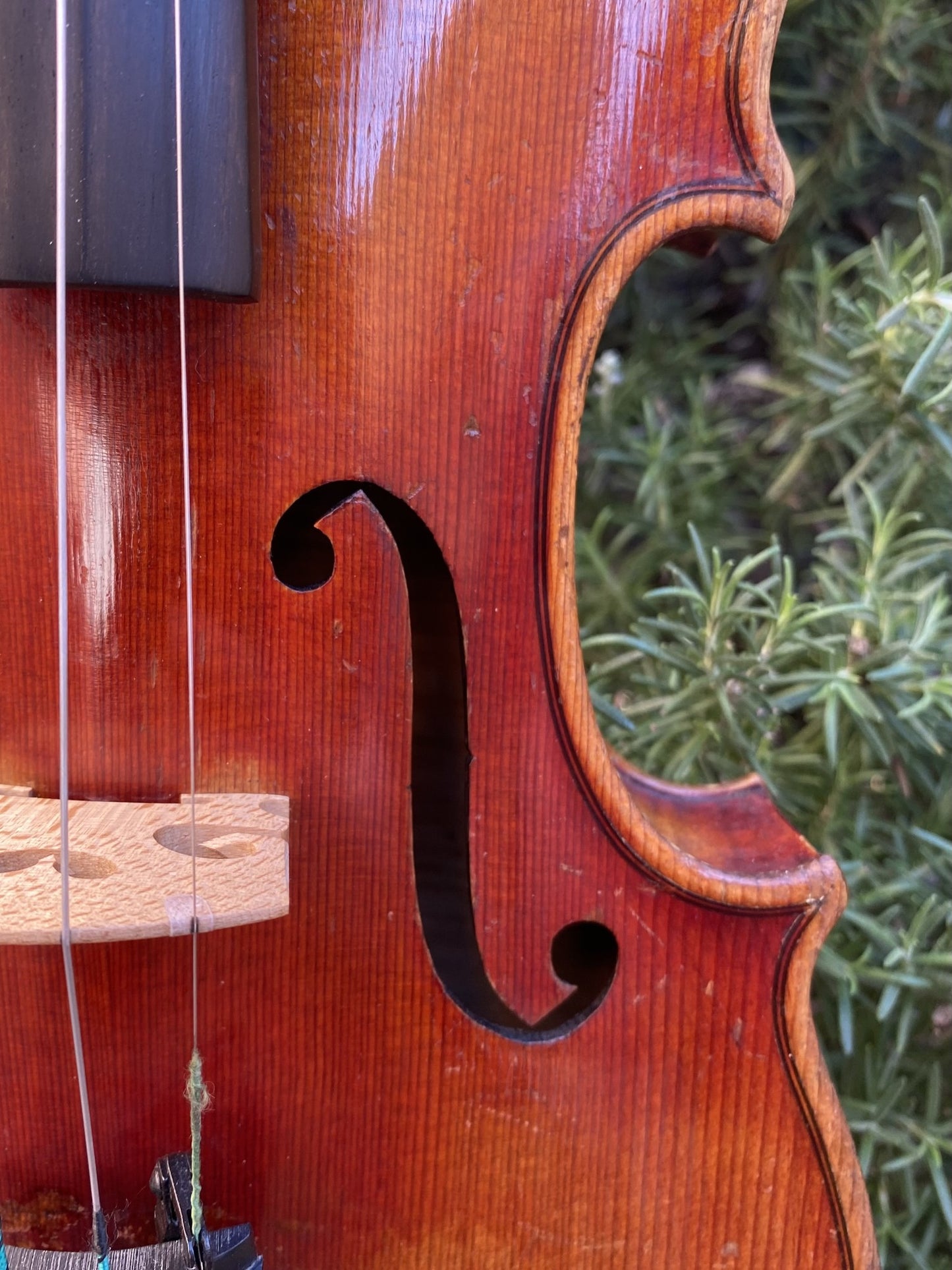 John Juzek 1927 red violin, Czechoslovakia | Metzler Violins