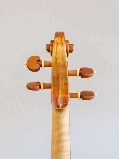 Michael Daddona violin, 2020, Connecticut, USA