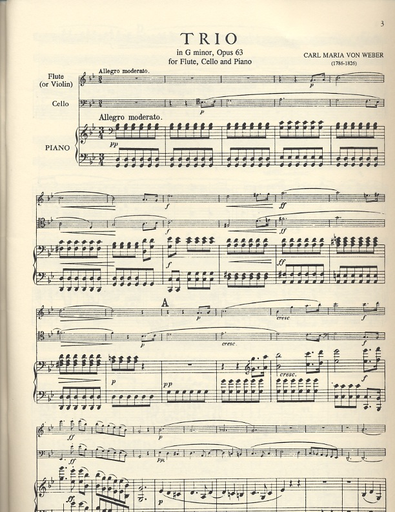 Weber, Carl Maria von: Trio in G minor Op.63 (flute or violin, cello & piano)