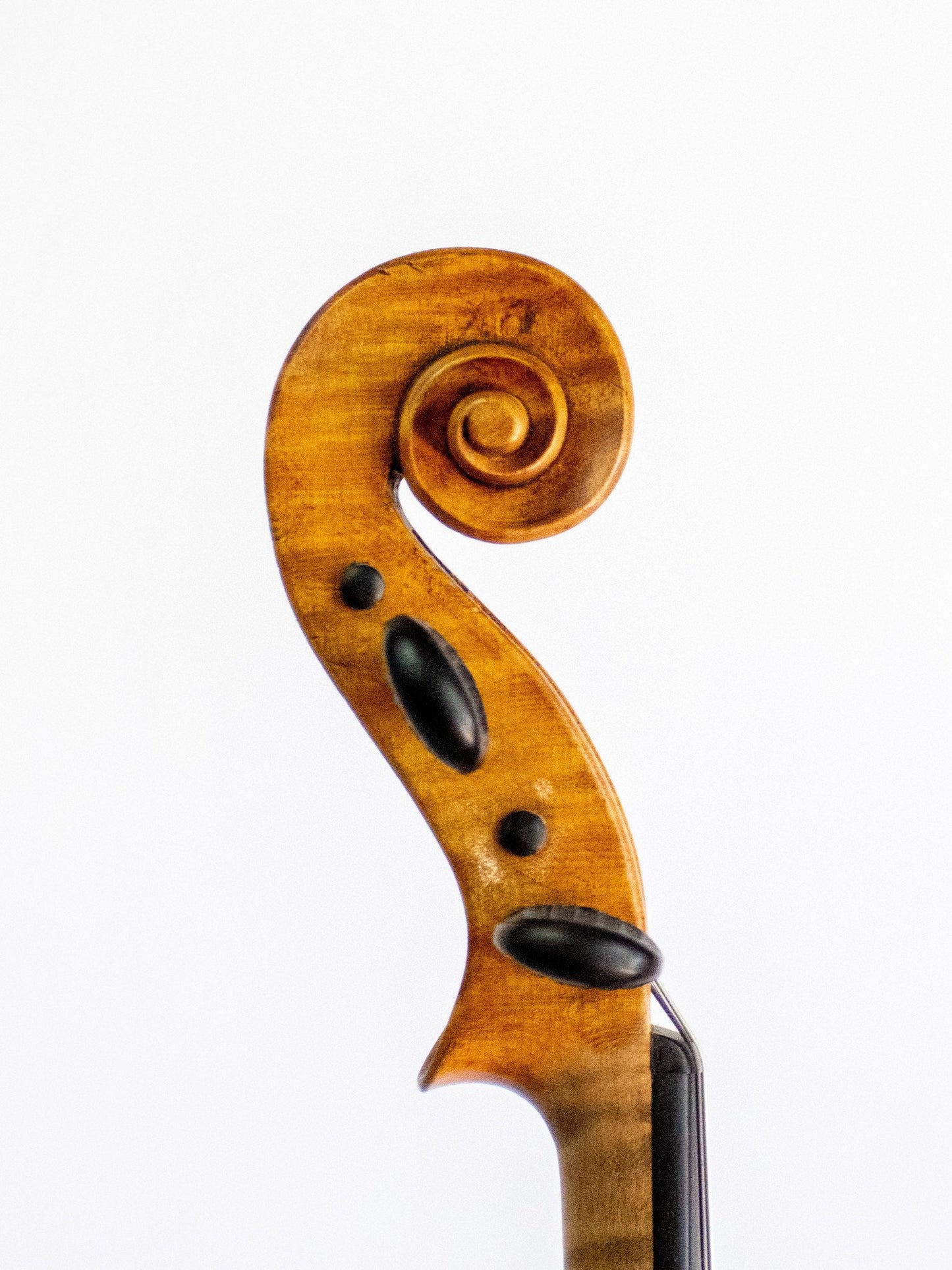 "Jacobus Steiner 1791" label violin,  GERMANY | Metzler Violins
