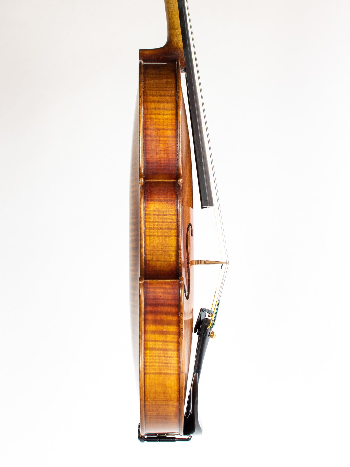 "Giulia" 4/4 violin | Metzler Violins