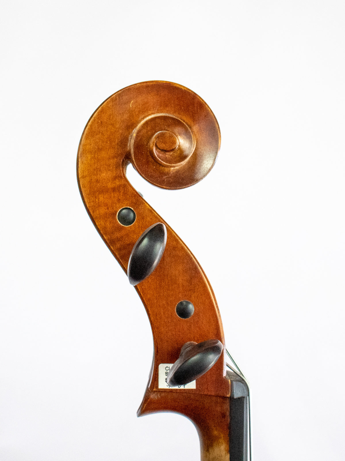 Serafina DX 1/2 cello, fully carved, with free bag, bow, rosin & polish cloth