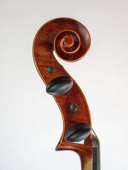 Marco Polo Deluxe Cello, 1/2