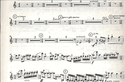 Bacewicz, Grazyna: Concerto #5 (violin & piano)
