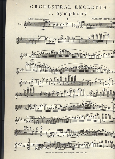 Strauss, R.: Orchestral Excerpts from Ten Symphonic Poems (violin)
