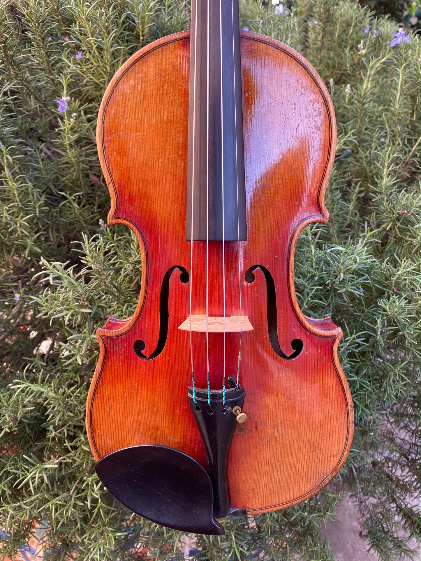 John Juzek 1927 red violin, Czechoslovakia | Metzler Violins