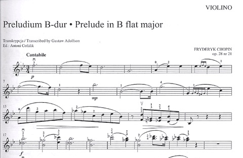 Chopin, F.: Famous Transcriptions for Violin and Piano Vol.2