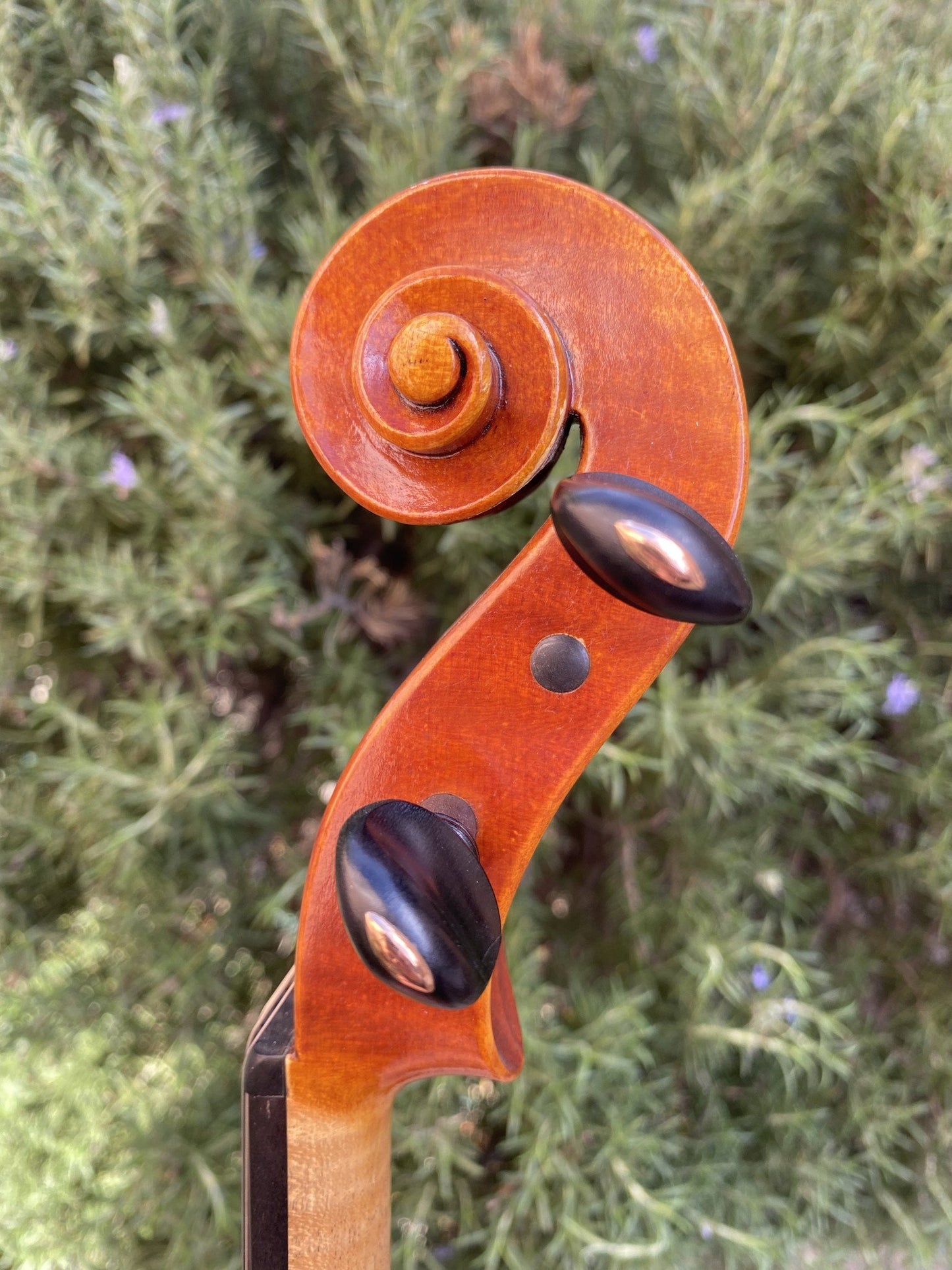 Raymond Schryer 16 5/16" viola 1995 Hilton Beach, Canada