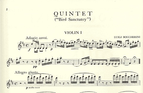 Boccherini: Quintet in D "Bird Sanctuary" (2 violins, viola, 2 cellos)