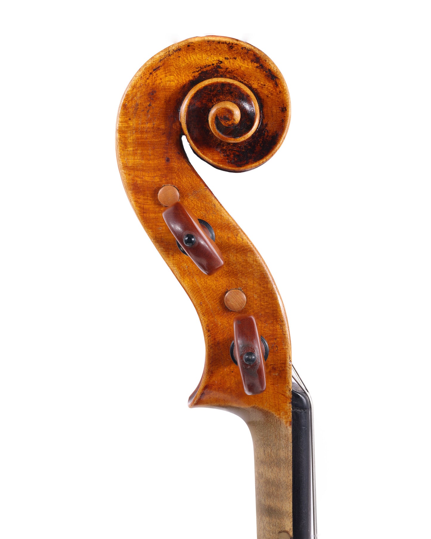 Francois Caussin violin labeled "Nicolo Gagliano, Bernard Millant certificate | Metzler Violins