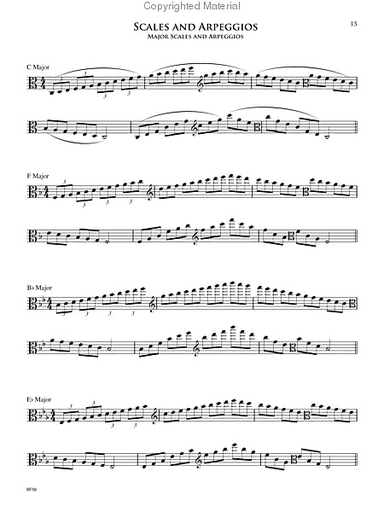 Clark, Larry: Protocol-A Guide to the Collegiate Audition Process for Viola