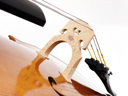 Francisc GYÖRKE cello, 2016, Reghin, Strad model, with certificate | Metzler Violins