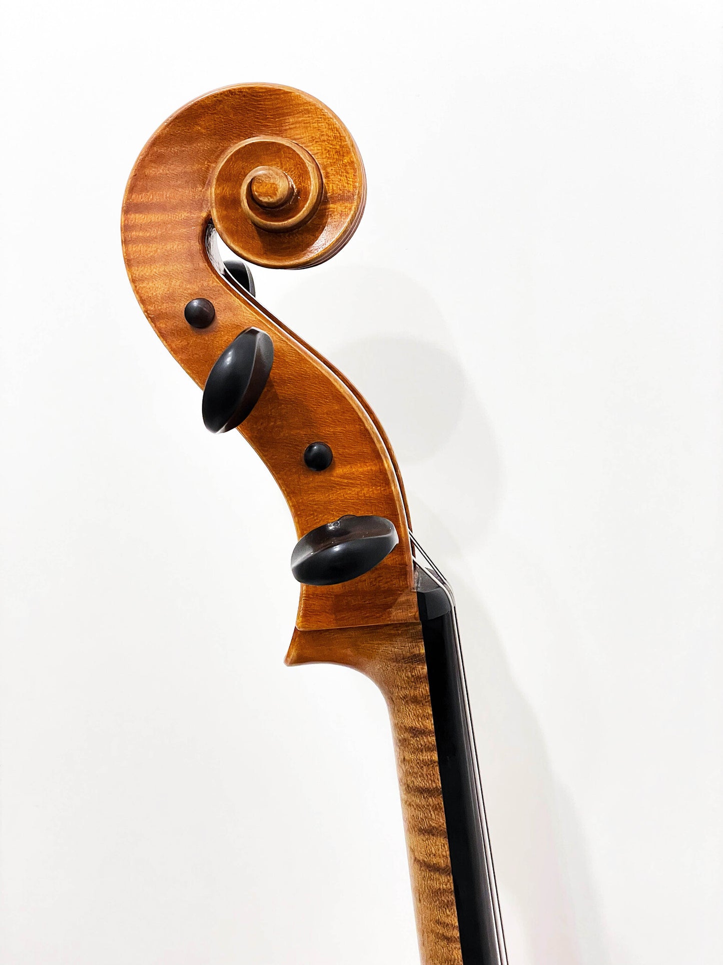 Francisc GYÖRKE cello, 2016, Reghin, Strad model, with certificate | Metzler Violins