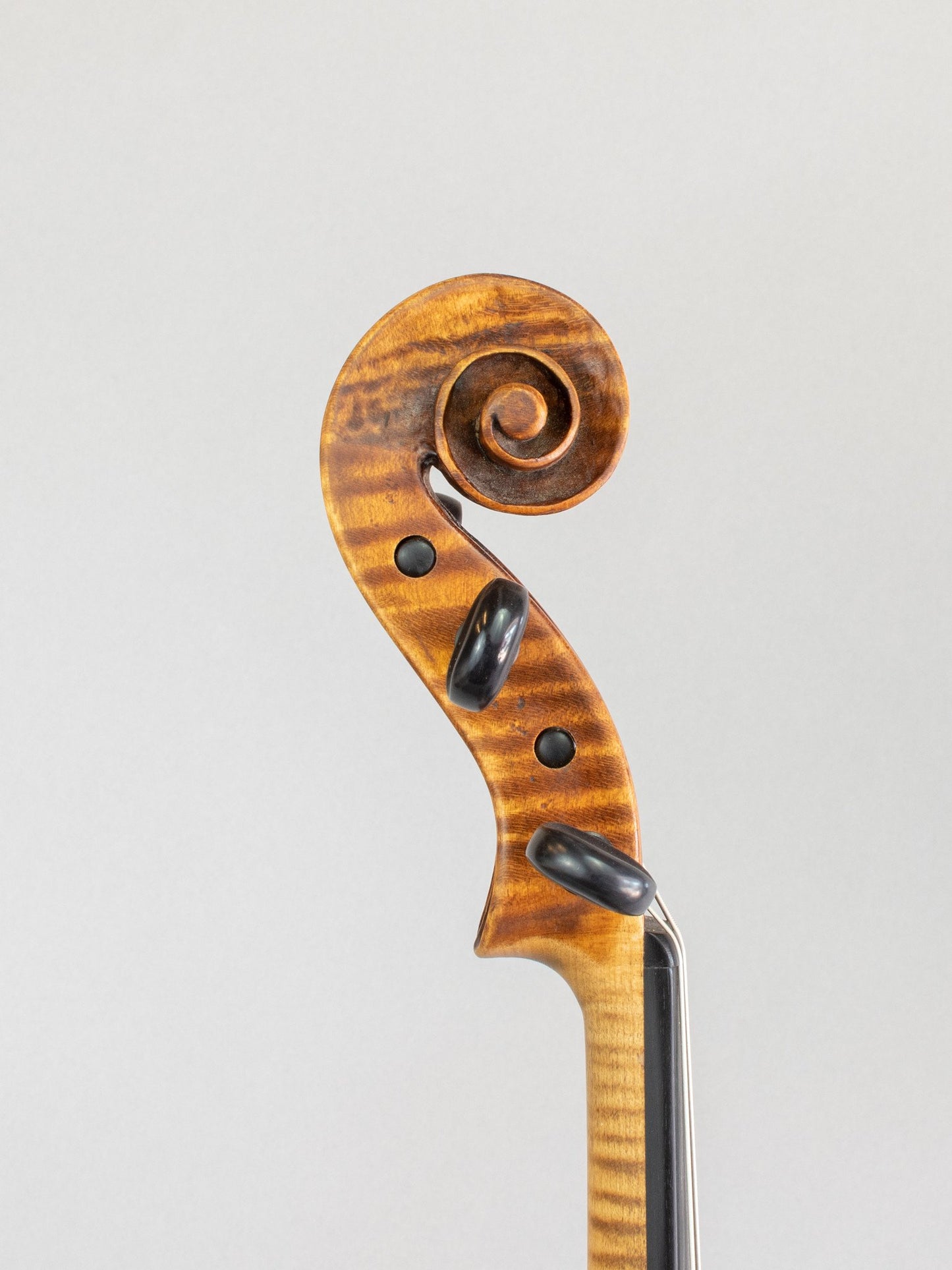 Helmuth Keller 16 5/8" viola, 1976, Philadelphia | Metzler Violins