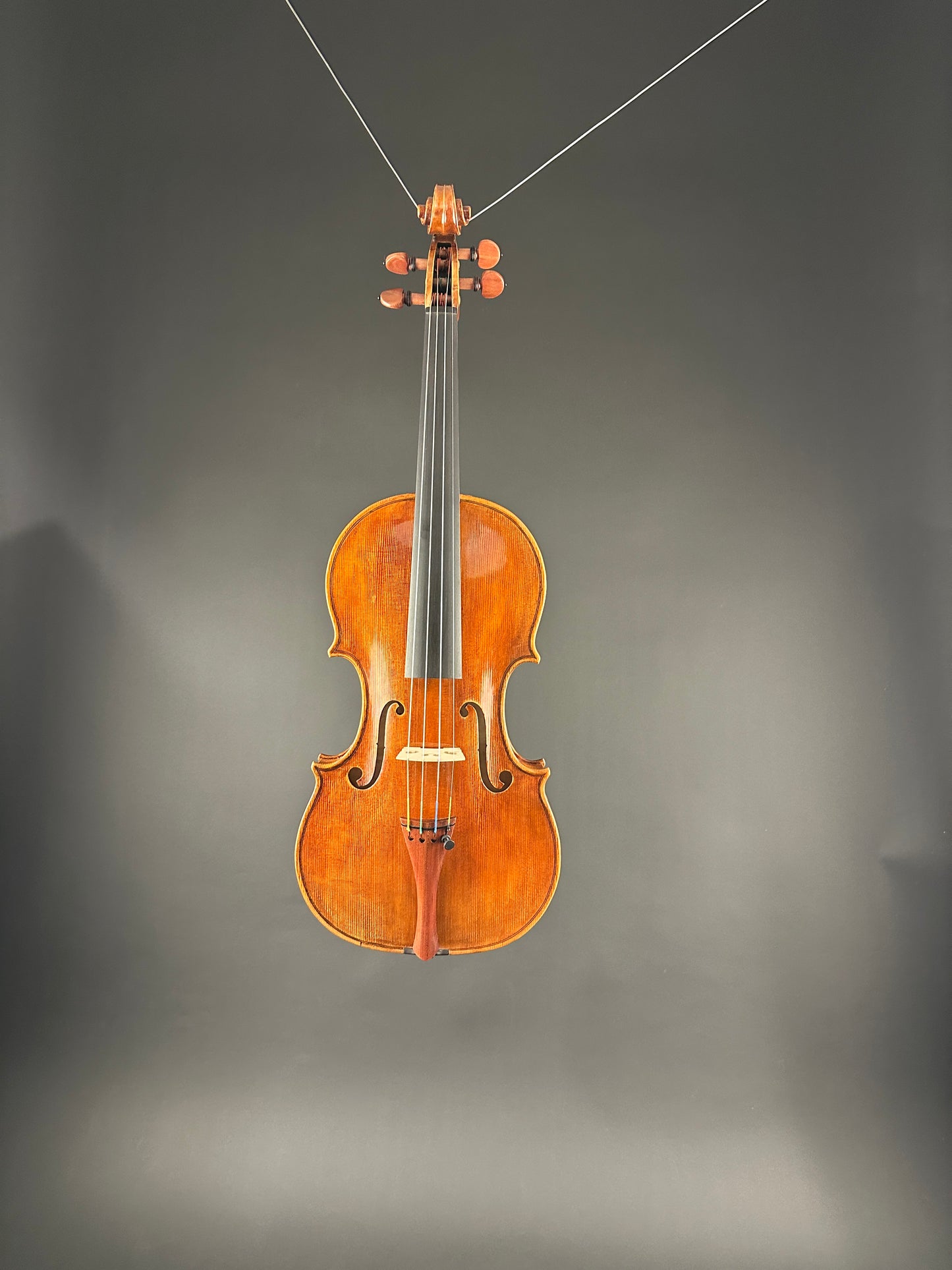 Sofia Vettori "Merlo" violin, 2025, Carmel, IN | Metzler Violins