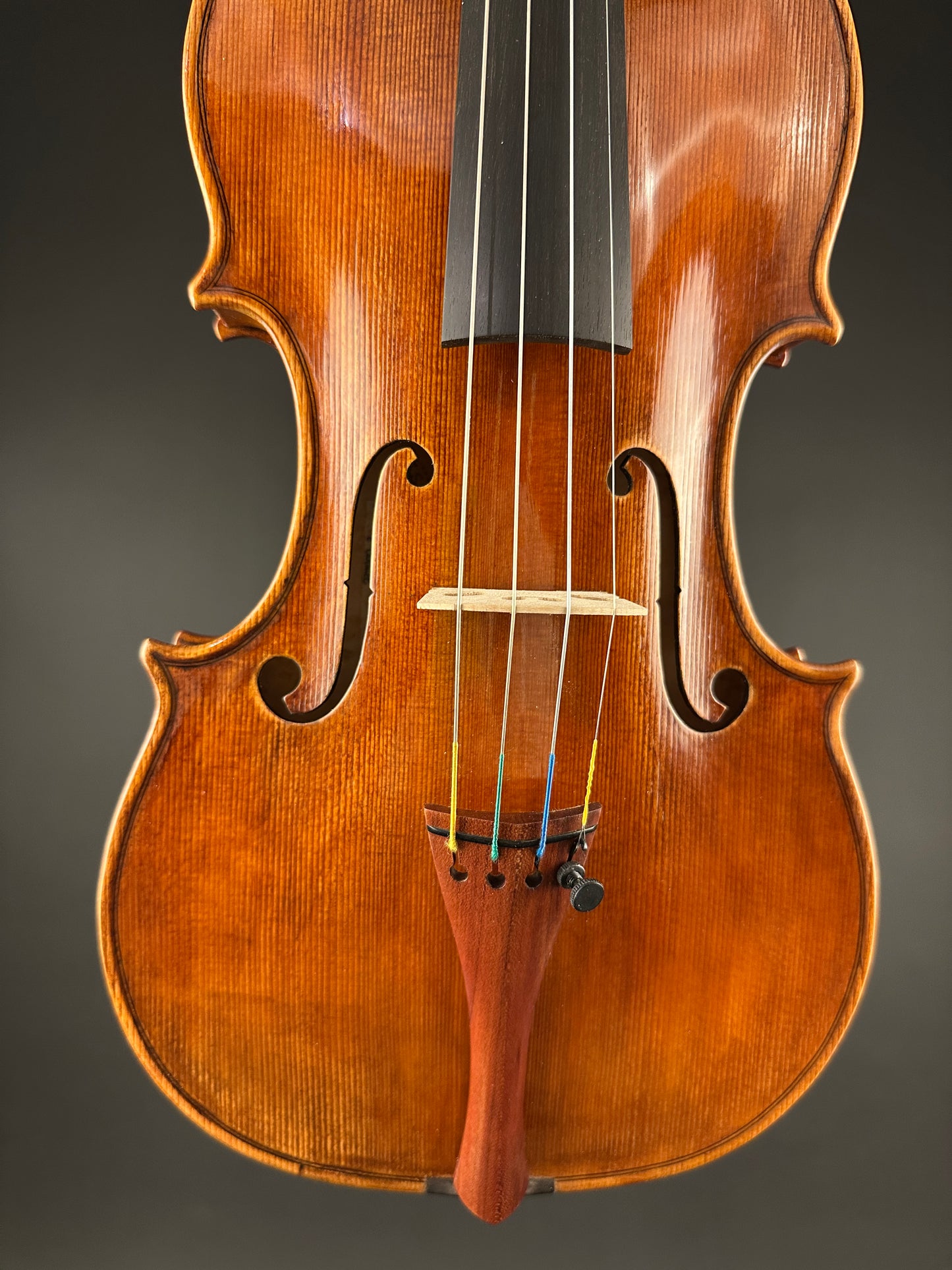 Sofia Vettori "Merlo" violin, 2025, Carmel, IN | Metzler Violins