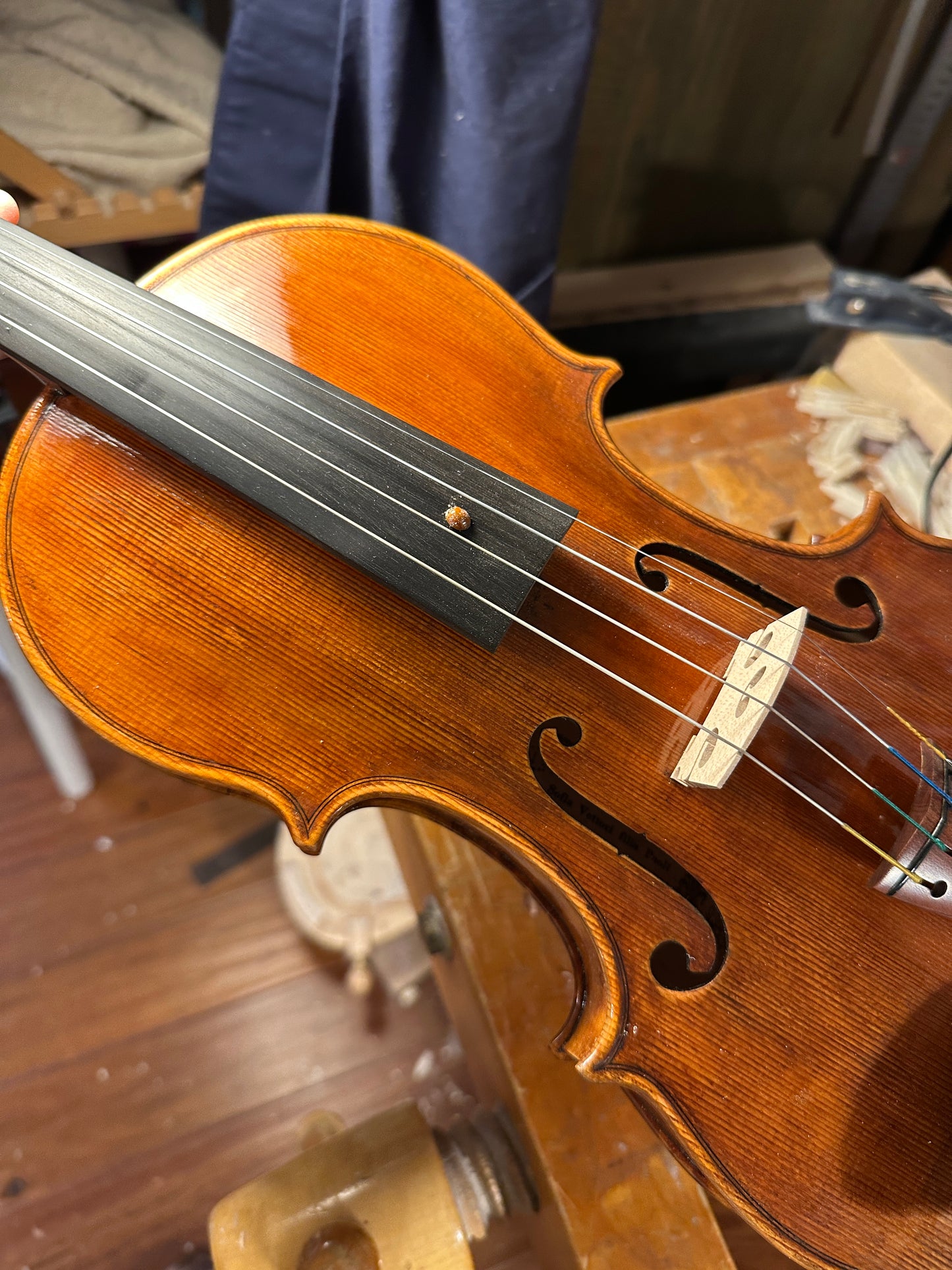 Sofia Vettori "Merlo" violin, 2025, Carmel, IN | Metzler Violins