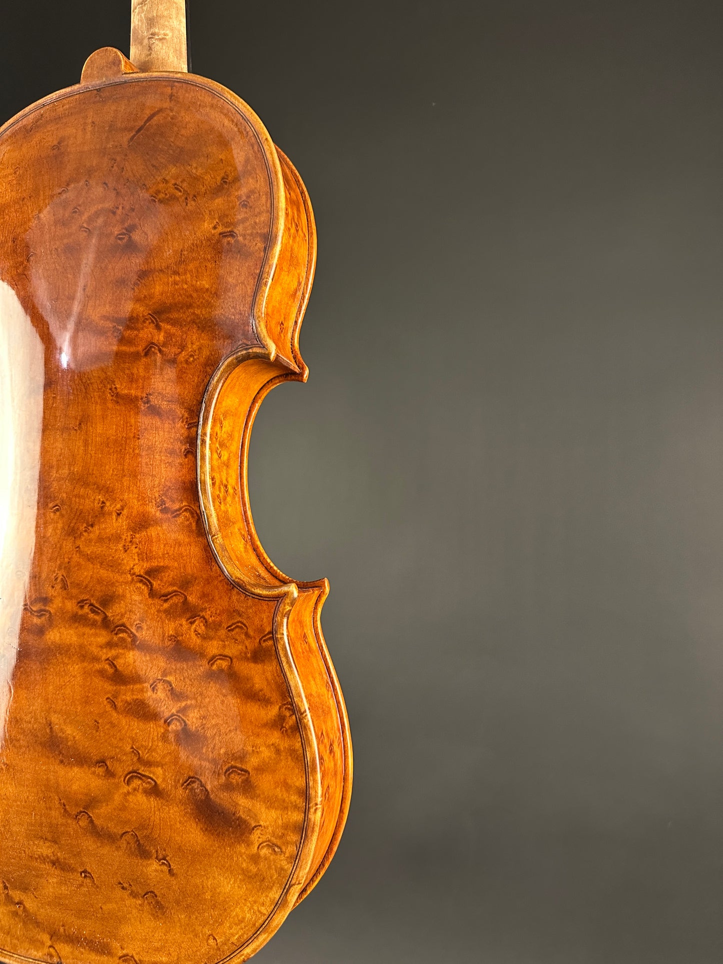 Sofia Vettori "Merlo" violin, 2025, Carmel, IN | Metzler Violins
