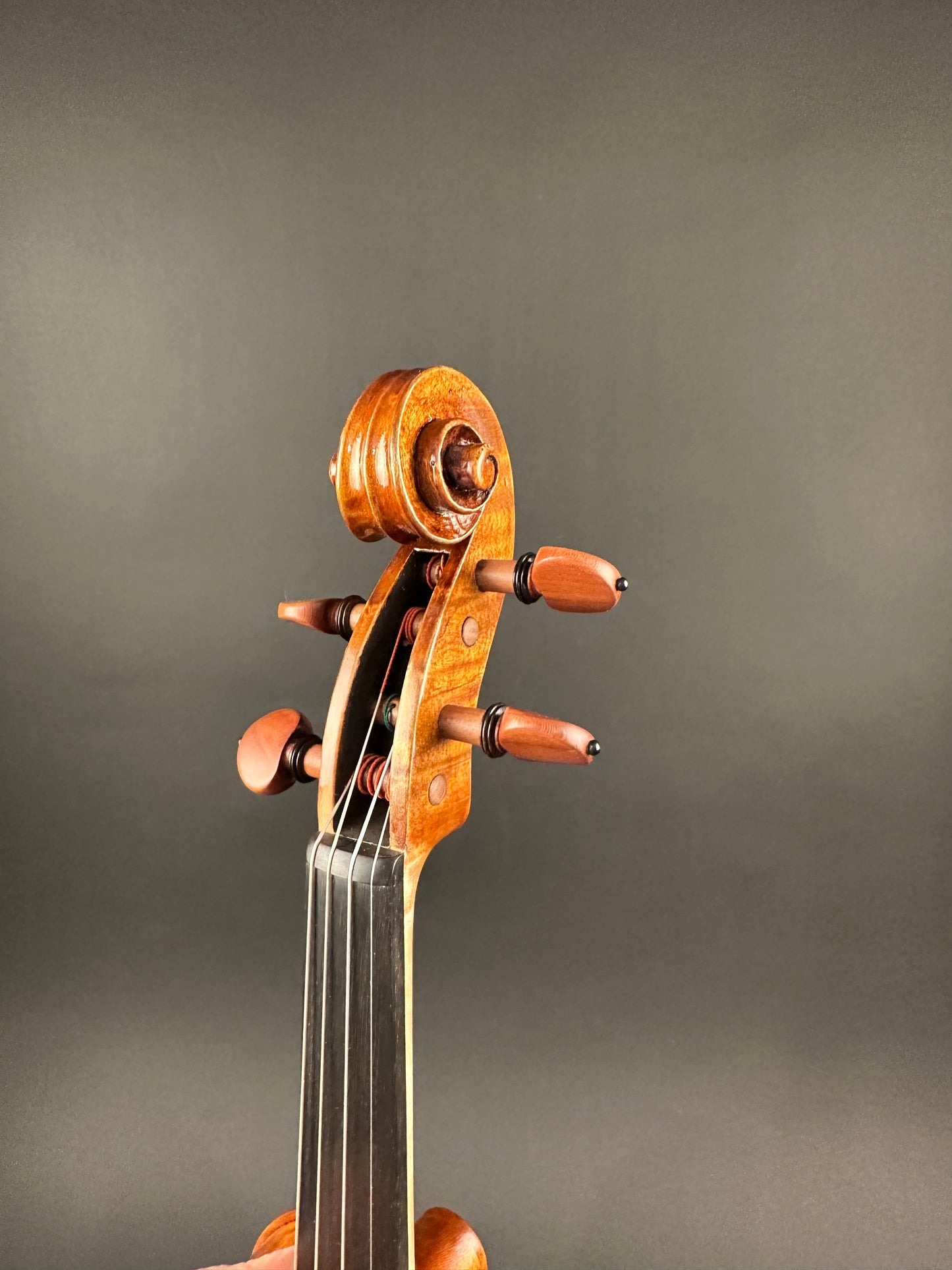 Sofia Vettori "Merlo" violin, 2025, Carmel, IN | Metzler Violins