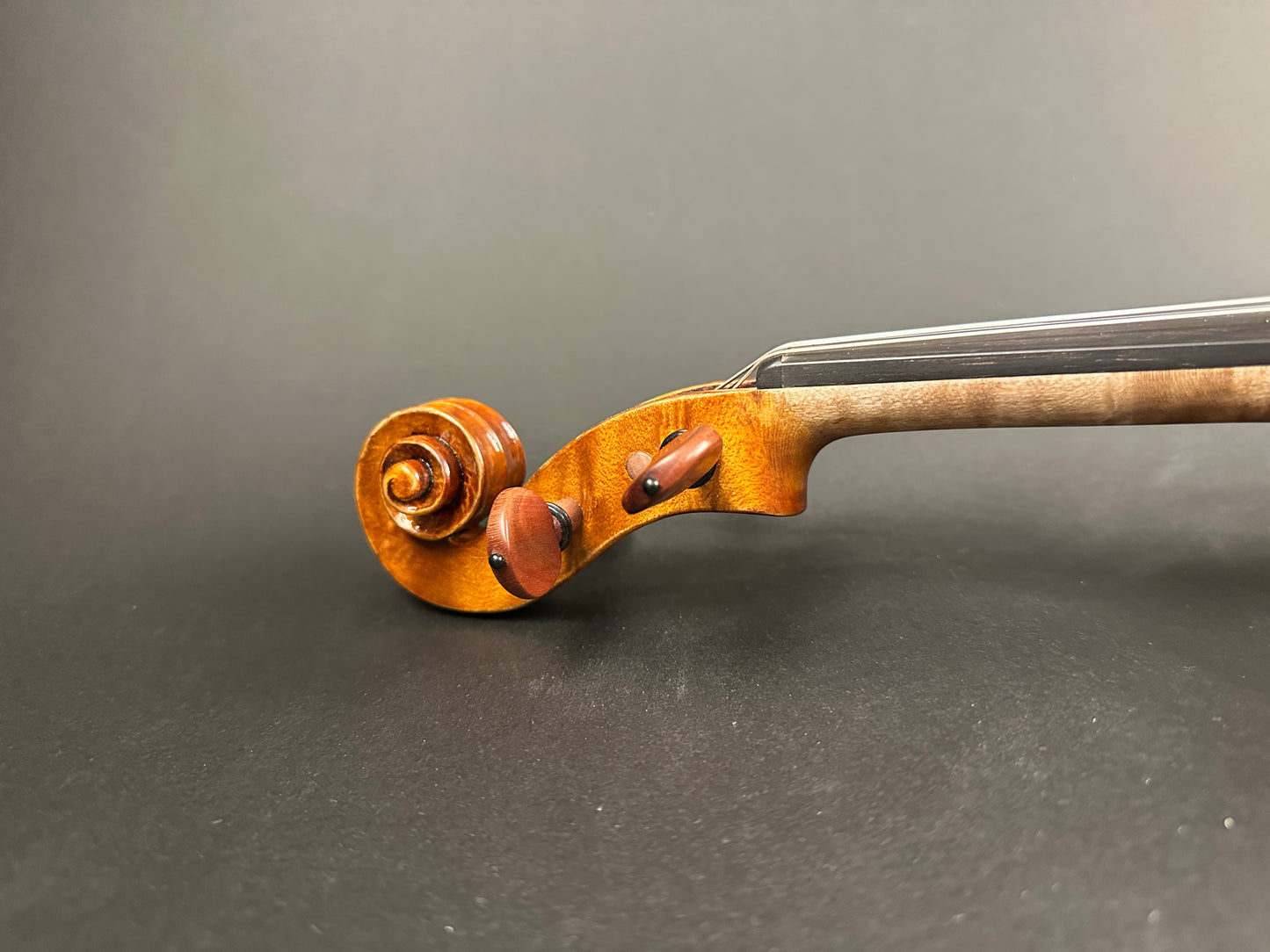 Sofia Vettori "Merlo" violin, 2025, Carmel, IN | Metzler Violins