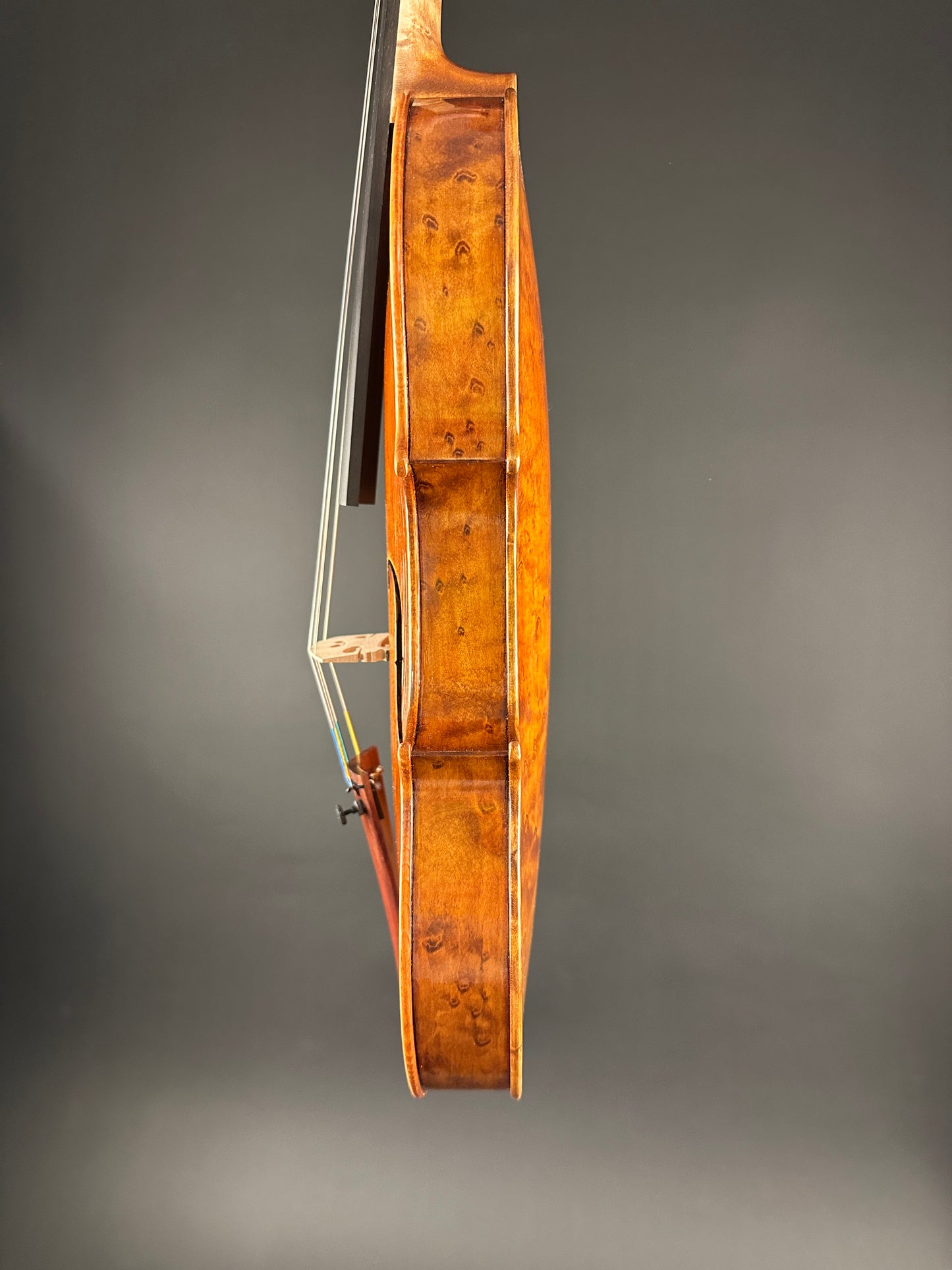 Sofia Vettori "Merlo" violin, 2025, Carmel, IN | Metzler Violins