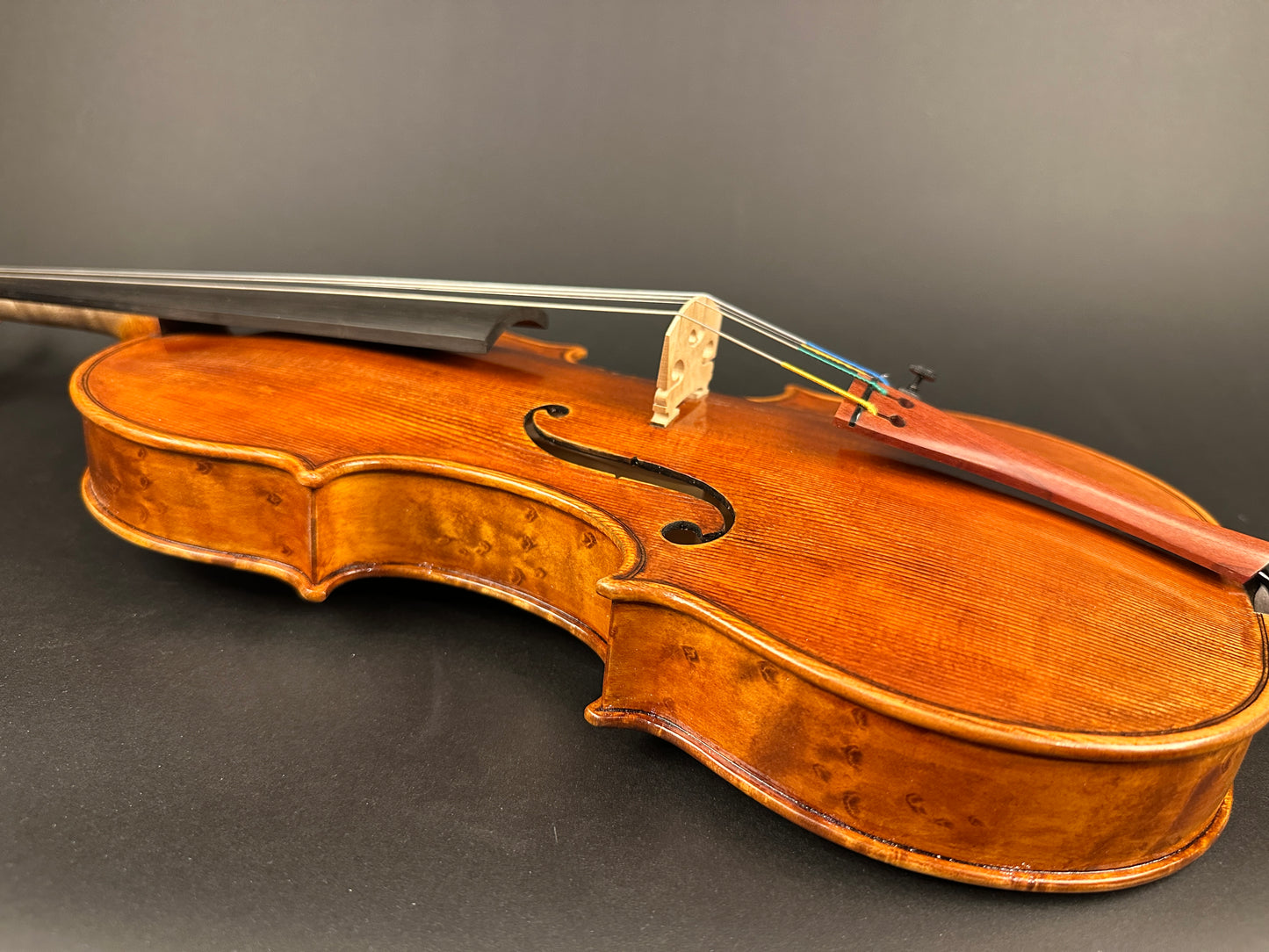 Sofia Vettori "Merlo" violin, 2025, Carmel, IN | Metzler Violins
