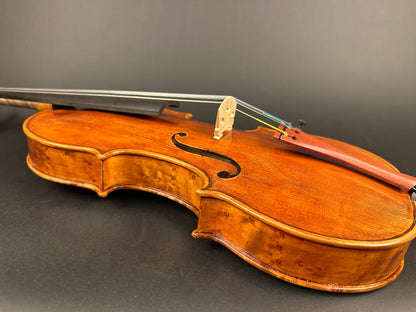 Sofia Vettori "Merlo" violin, 2025, Carmel, IN | Metzler Violins