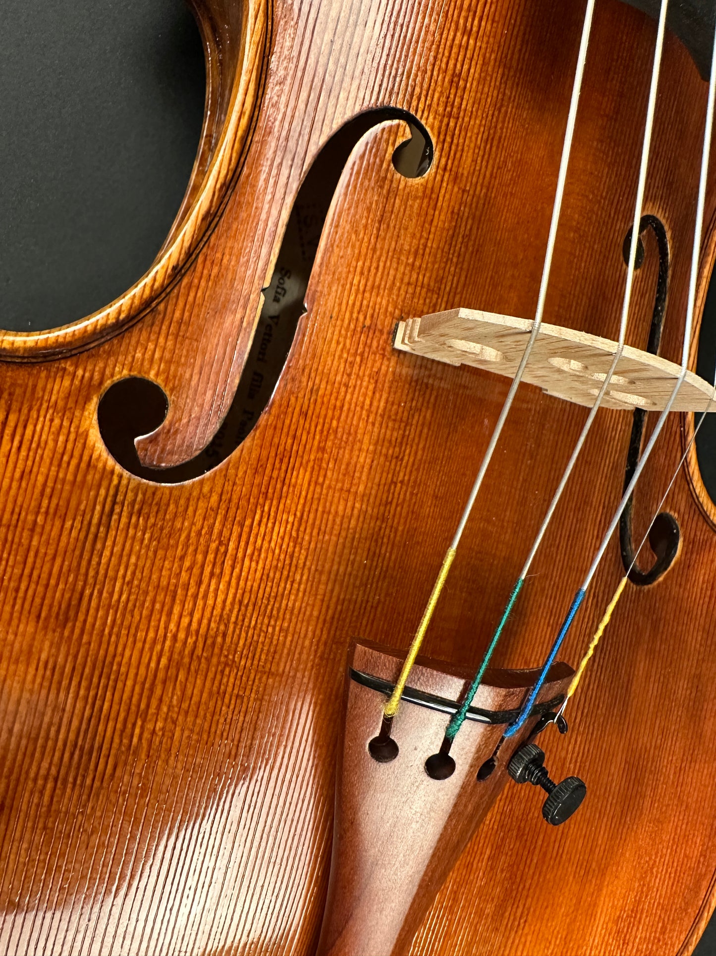 Sofia Vettori "Merlo" violin, 2025, Carmel, IN | Metzler Violins