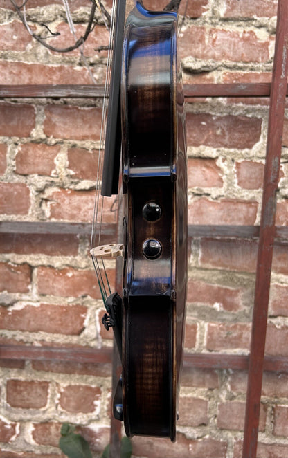 REALIST electric 5-string Pro E-Series violin feat. Instant Active with BLACK finish, Wittner pegs & case