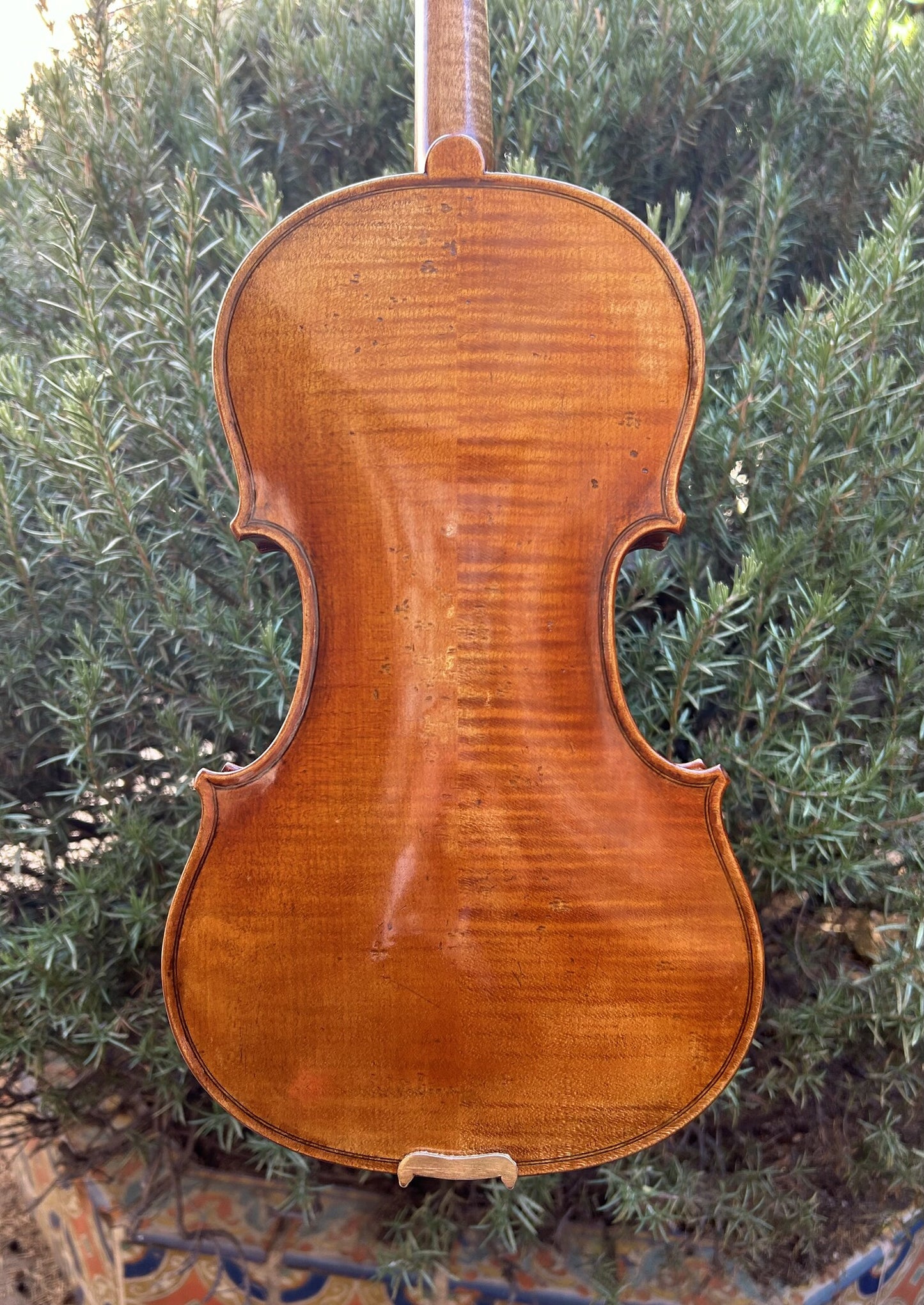 1/2 Ettore Callegari violin, Strad model, European wood, 2024 | Metzler Violins