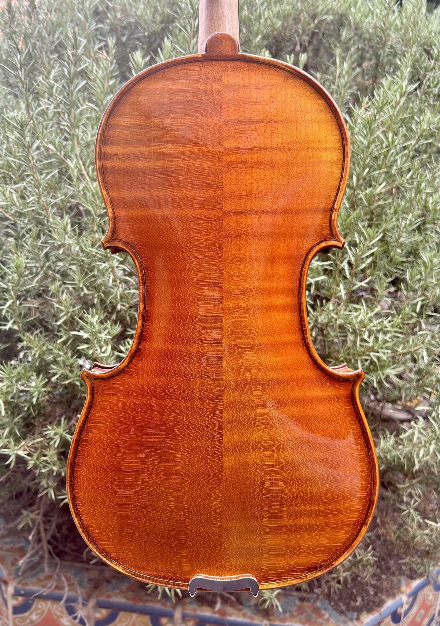 Revelle Model 305 4/4 Violin Outfit, European Wood | Metzler Violins