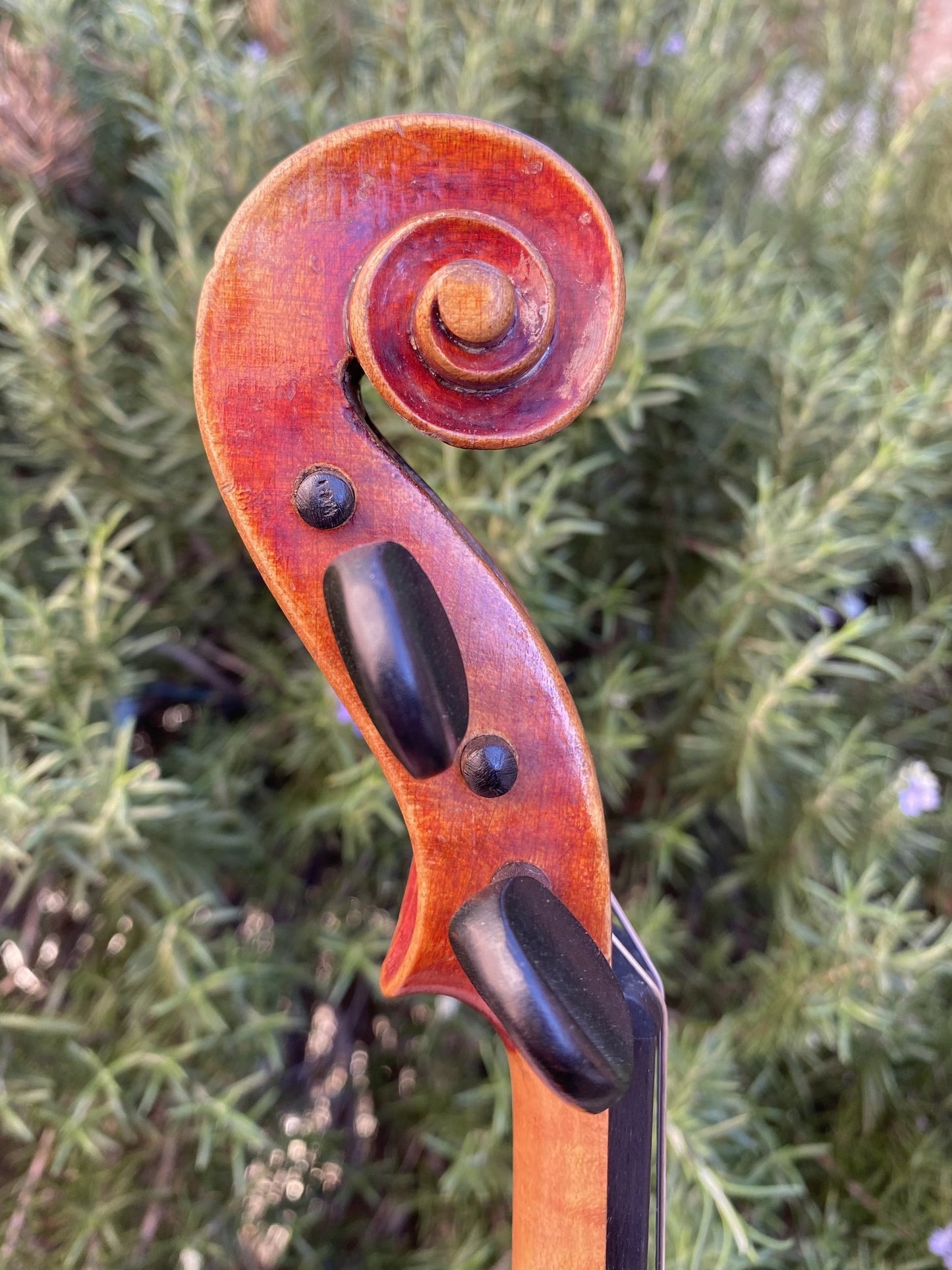 John Juzek 1927 red violin, Czechoslovakia | Metzler Violins