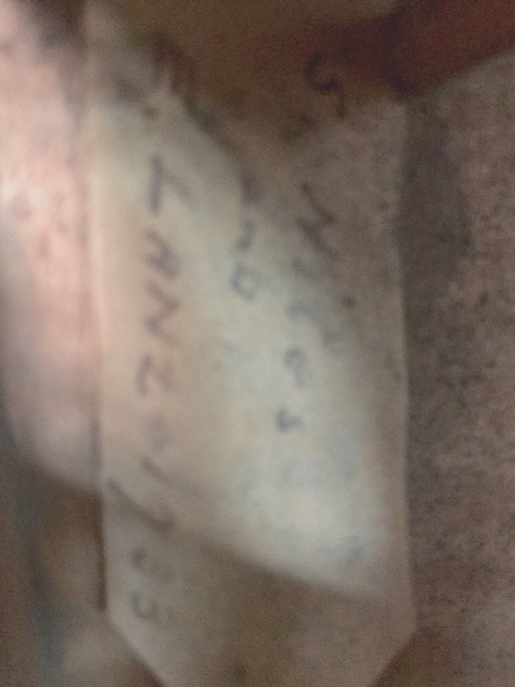 S. Niles & E. Lanz violin, Los Angeles, 1933