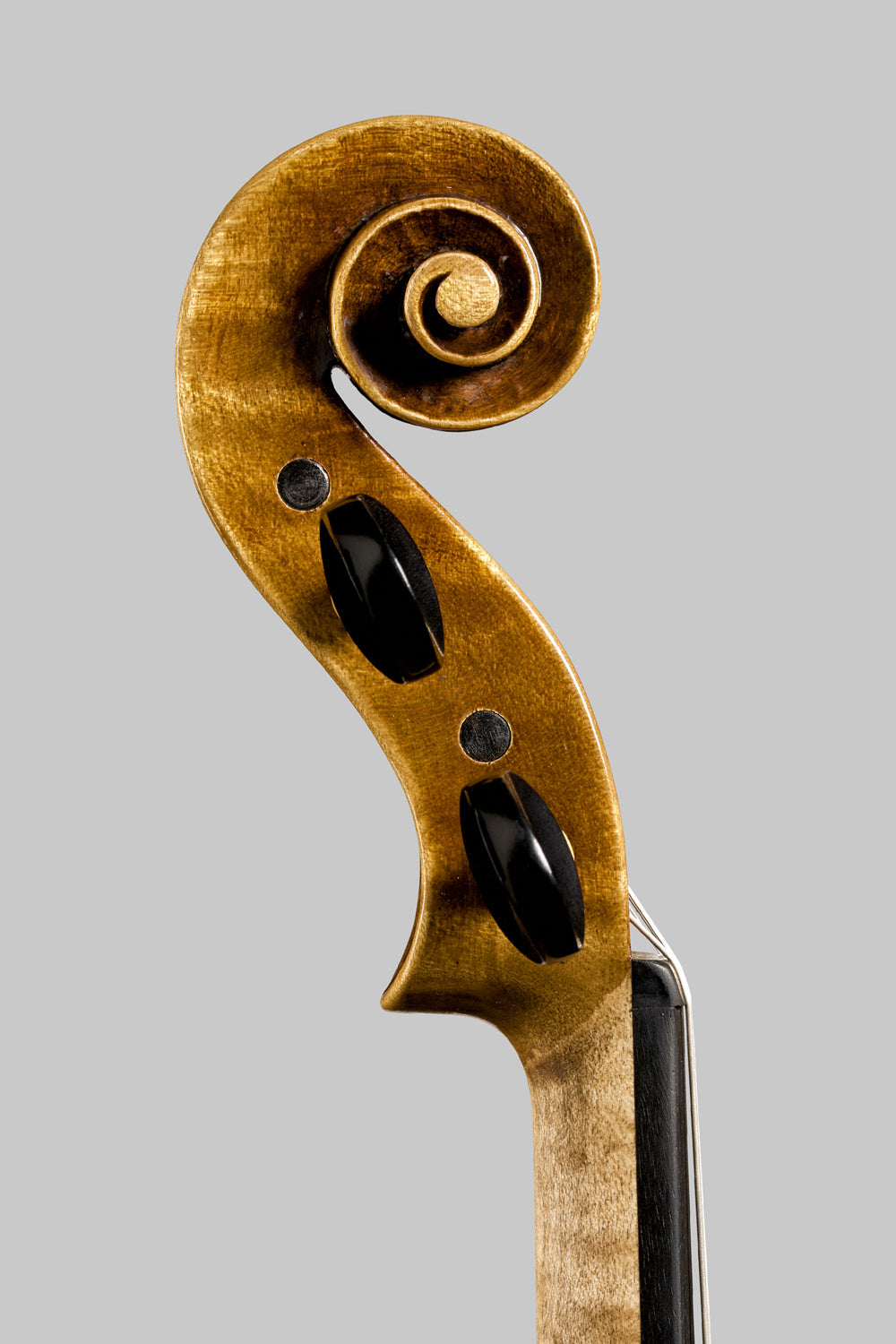 Giovanni Varazzani violin, 2024, Cremona | Metzler Violins