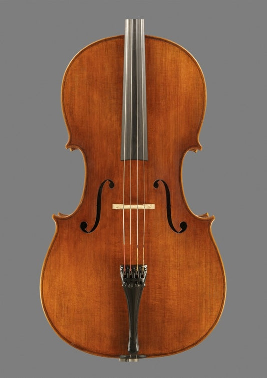 Paolo Rizzo cello, 2025, Cremona | Metzler Violins