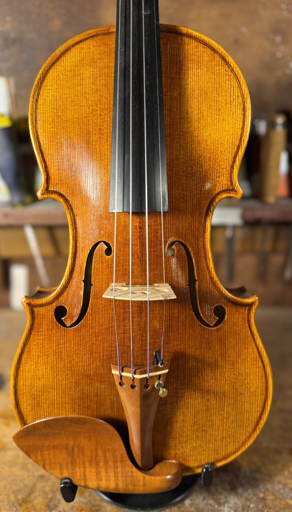 Stefano Trabucchi violin, 2025, Cremona | Metzler Violins 