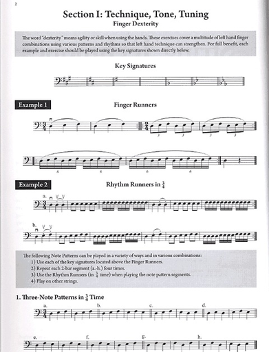 Frost, Robert: String Technique for Superior Musical Performance (cello)