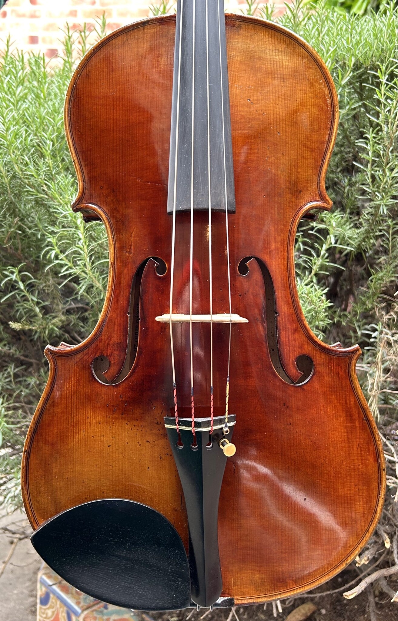 16.5" Hiroshi Kono viola, #30480, 2023, Tokyo, Japan