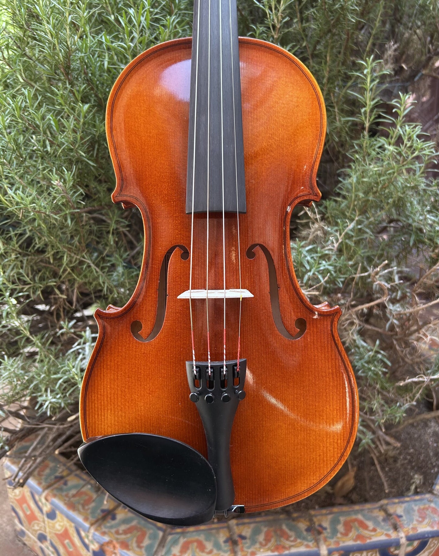 John Juzek model 103 violin, Czech Republic