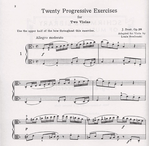 Dont, J: 20 Progressive Exercises for the Viola (with 2nd viola accompaniment)