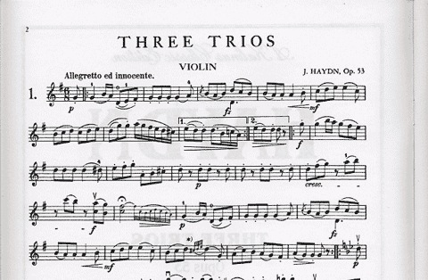 Haydn, F.J.: Three Trios Op.53 (violin, Viola, Cello)