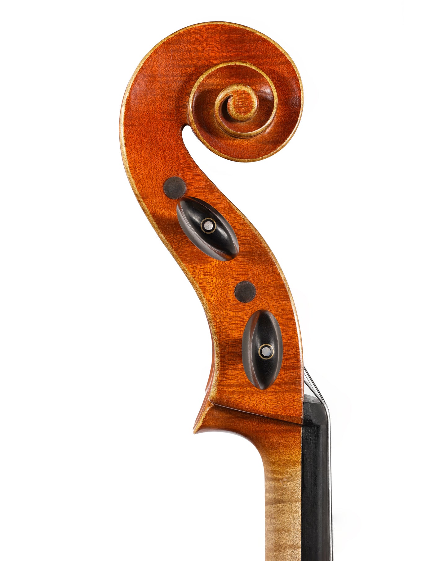 Franz Sandner 4/4 used cello, Rauheim, Germany 1986 | Metzler Violins